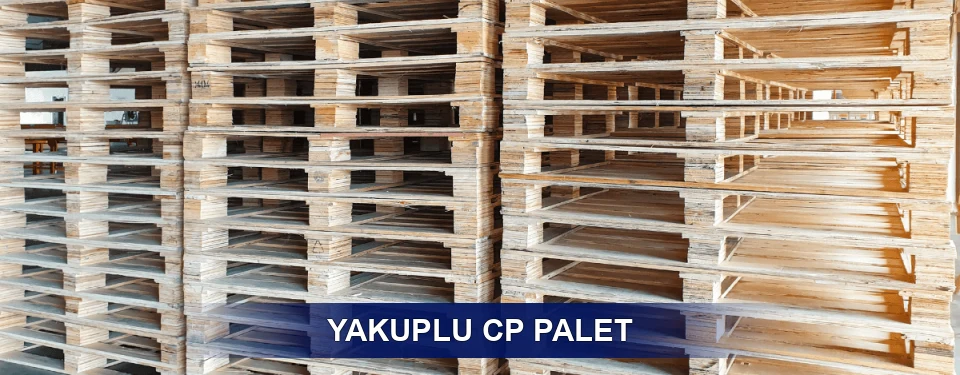 Yakuplu Standart Tipler