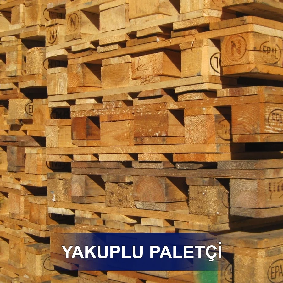 Yakuplu Paletçi
