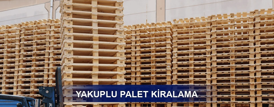 Yakuplu Uzun Dönem